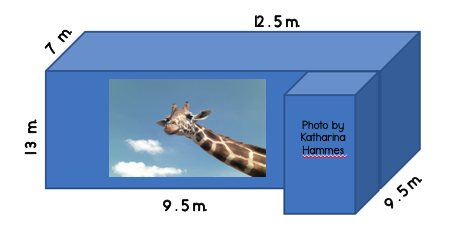 Fun Geometry: Animal Prisms