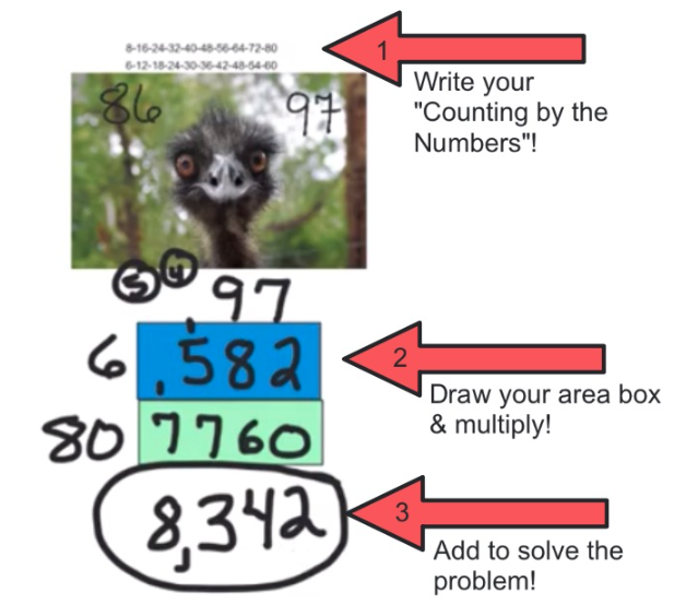 Step-by-step area multiplication strategy solving 86 times 97 using area boxes and skip counting for students who don’t know all their multiplication facts.