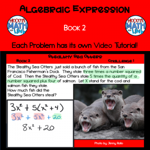 Algebraic Expression - Book 2