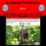 Algebraic Expression - Book 1